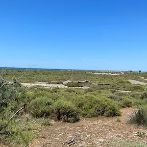  Appartement Résidence L’oiseau Des Sables France